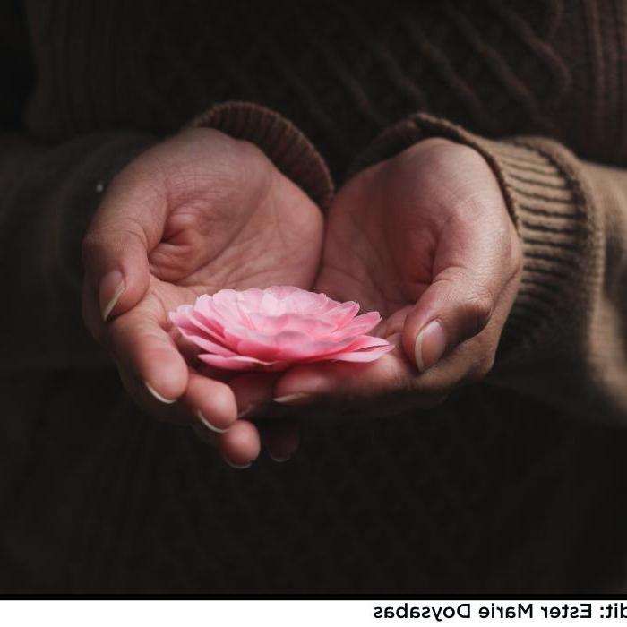 Hands holding a flower